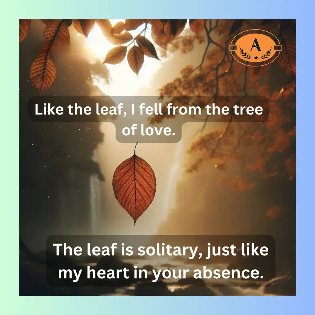 sad shayari in english 2 lines_