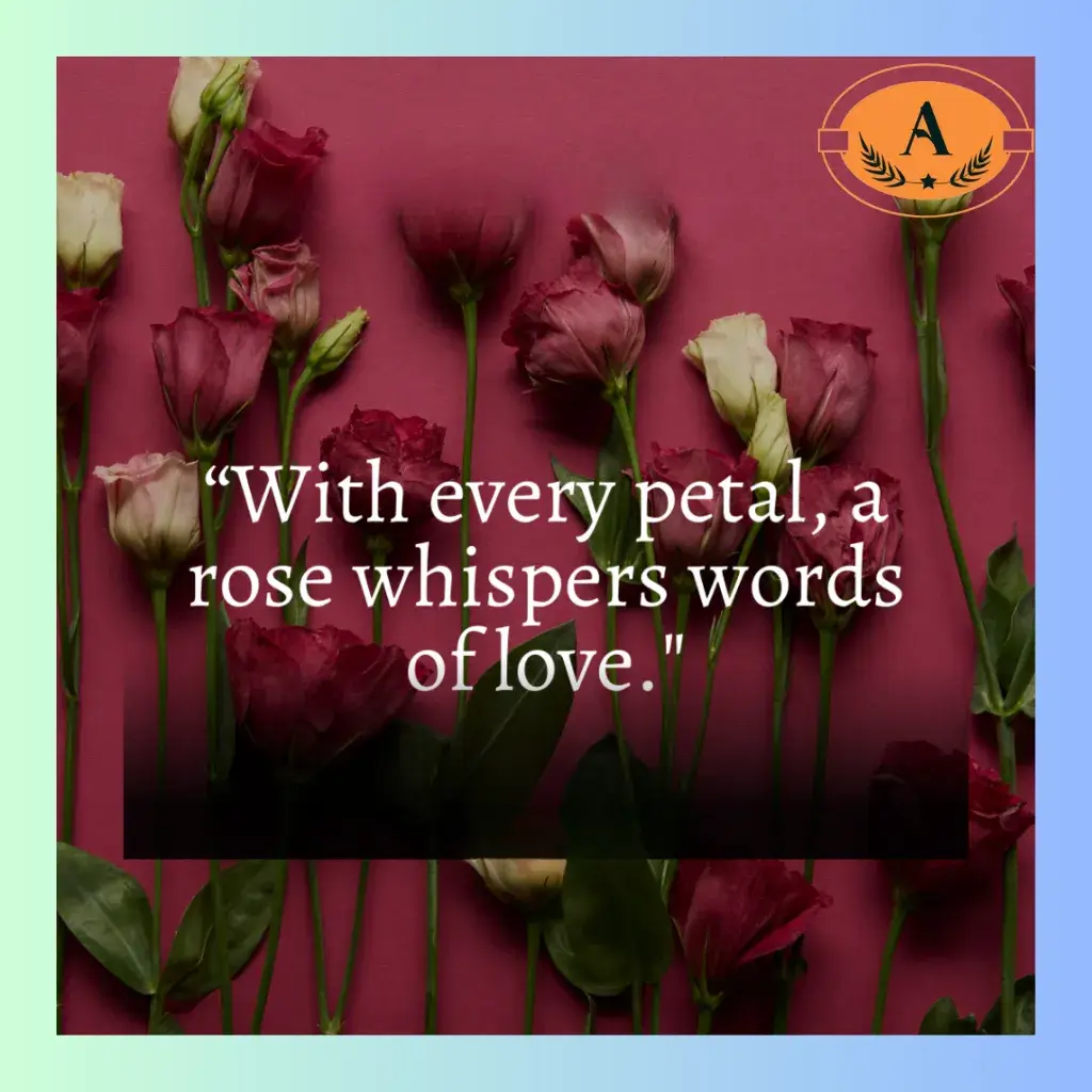 flower shayari in english_