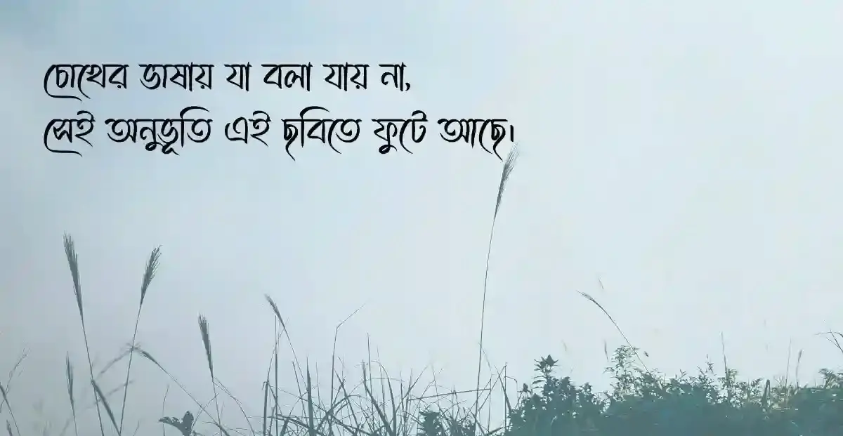 short Bengali caption for fb​