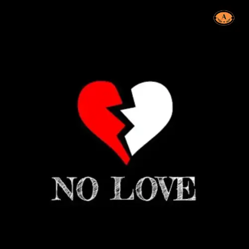 No Love Shayari in Hindi