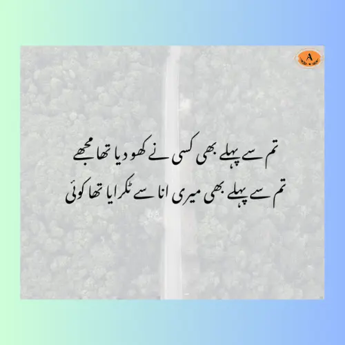 Poetry in Urdu Text (1)