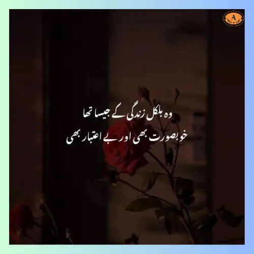 Sad Poetry About Life in Urdu_
